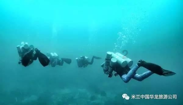 缤纷水果茶